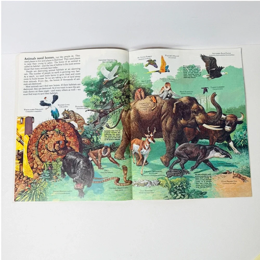 Vintage Zoobooks Magazine Endangered Animals Educational Science Book Nature 90s